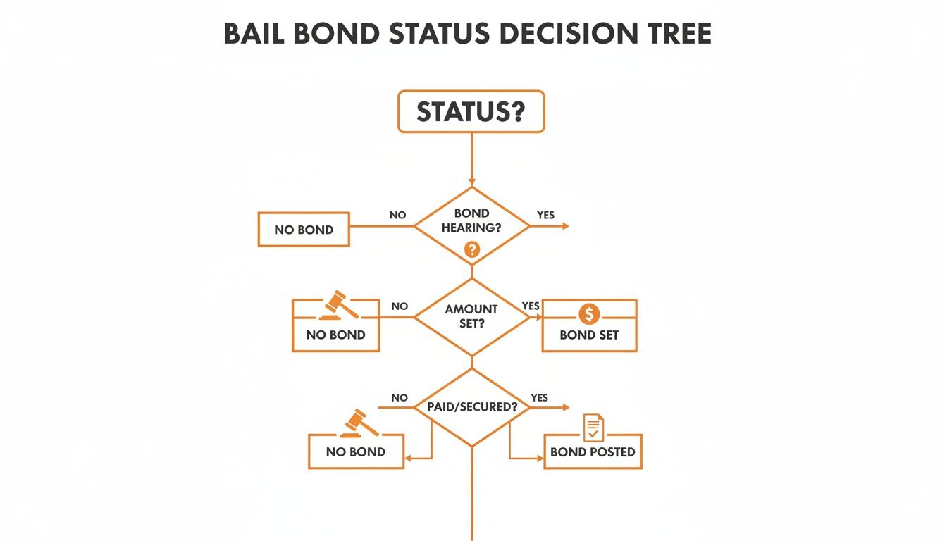 A flowchart decision tree outlining the steps to determine a bail bond's status.