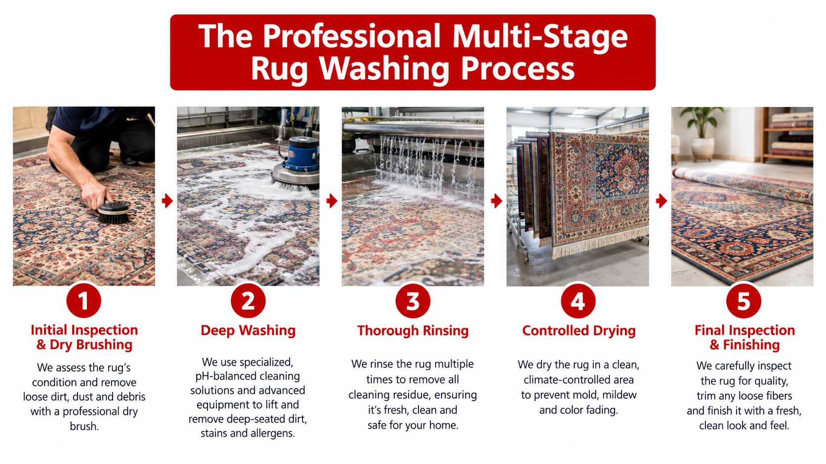 A diagram illustrating the professional five-stage process for deep cleaning and washing oriental area rugs.