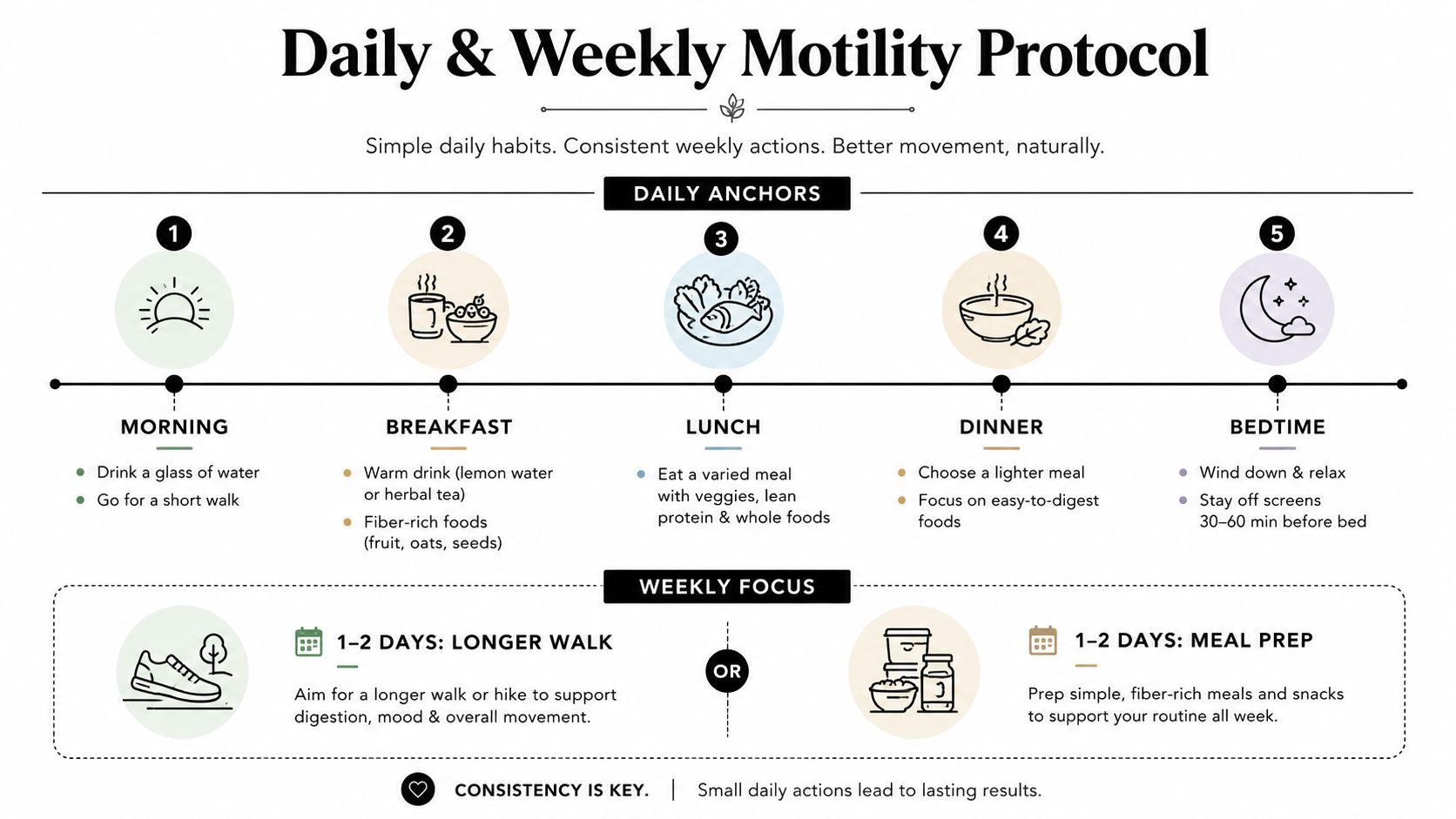 A visual guide outlining a daily and weekly motility protocol with habits for better digestive health.