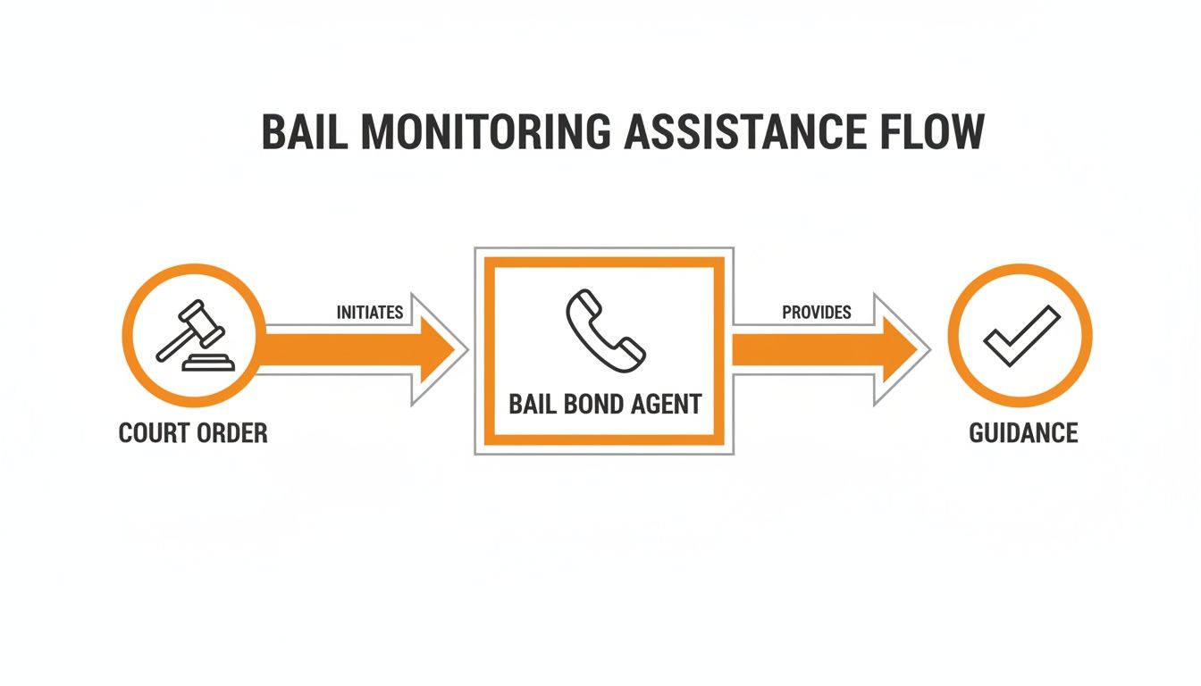 Flowchart illustrating bail monitoring assistance, showing a Court Order initiating a Bail Bond Agent providing Guidance.