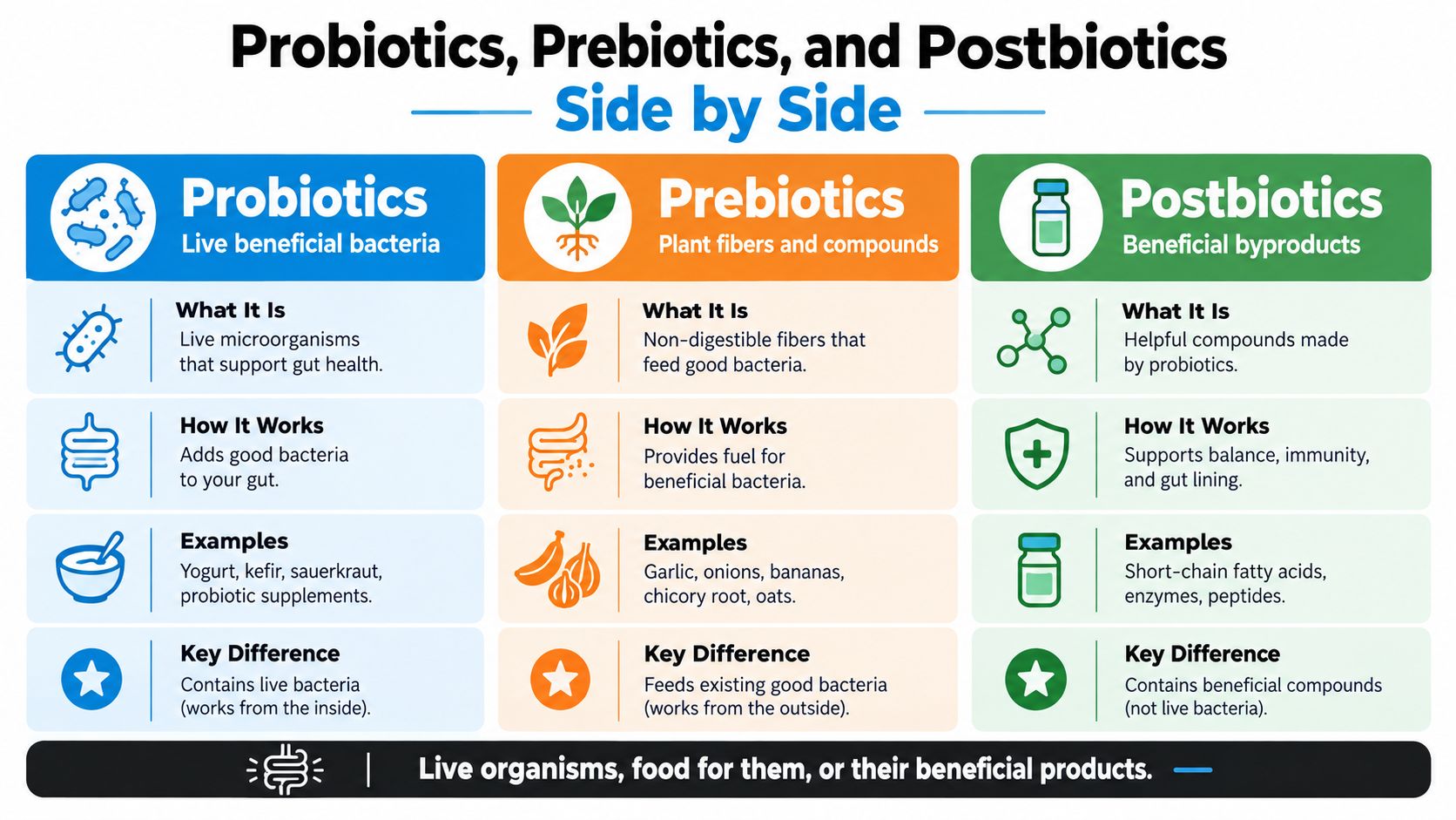 A comparison chart explaining the differences between probiotics, prebiotics, and postbiotics with examples and functional descriptions.