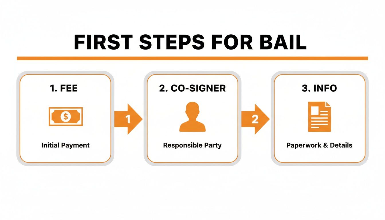 Infographic showing the first three steps for bail: fee, co-signer, and info.