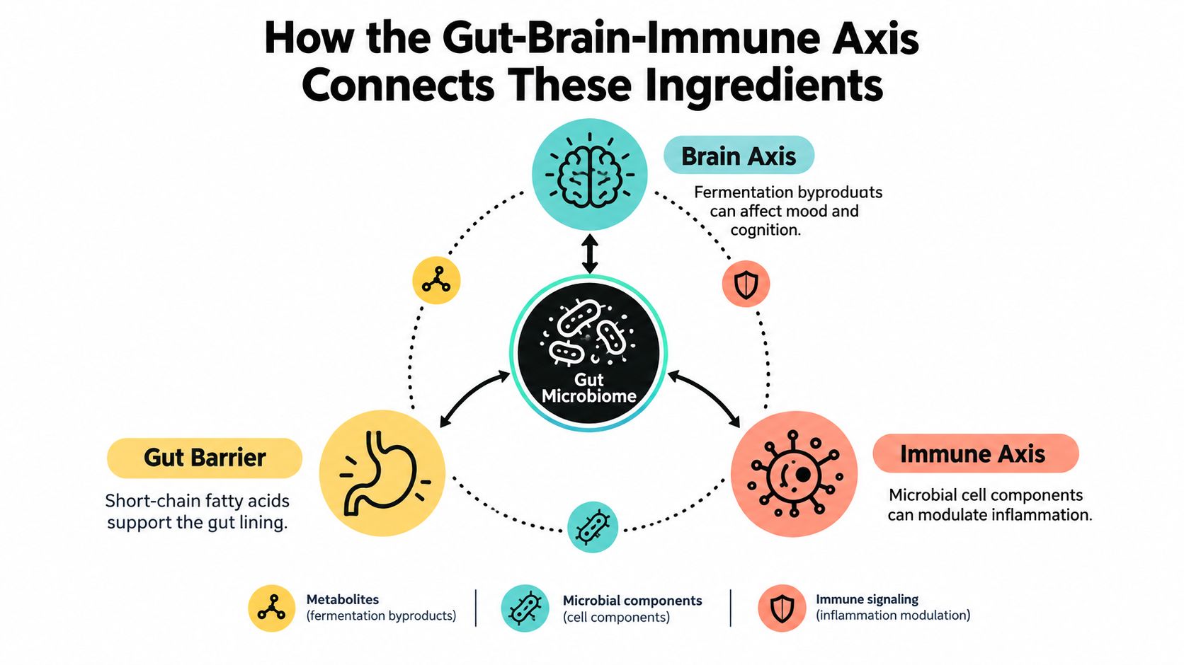A diagram illustrating the Gut-Brain-Immune axis, showing how the microbiome interacts with the brain, gut, and immune system.