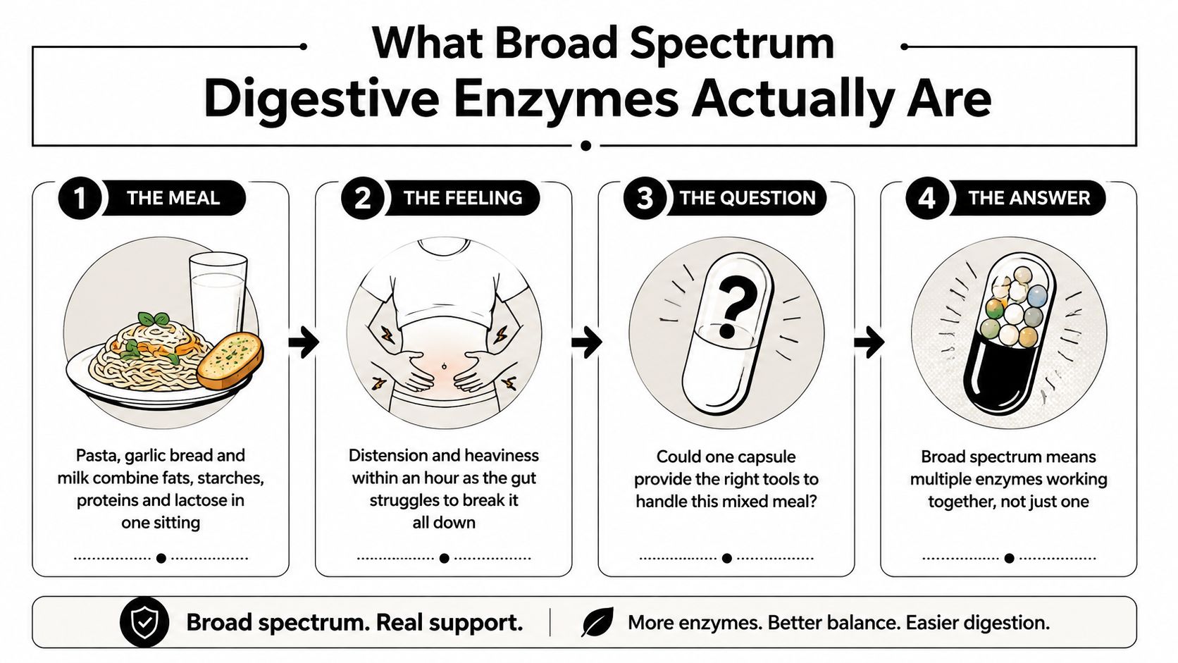 A four-step infographic illustrating how broad spectrum digestive enzymes help break down complex mixed meals effectively.