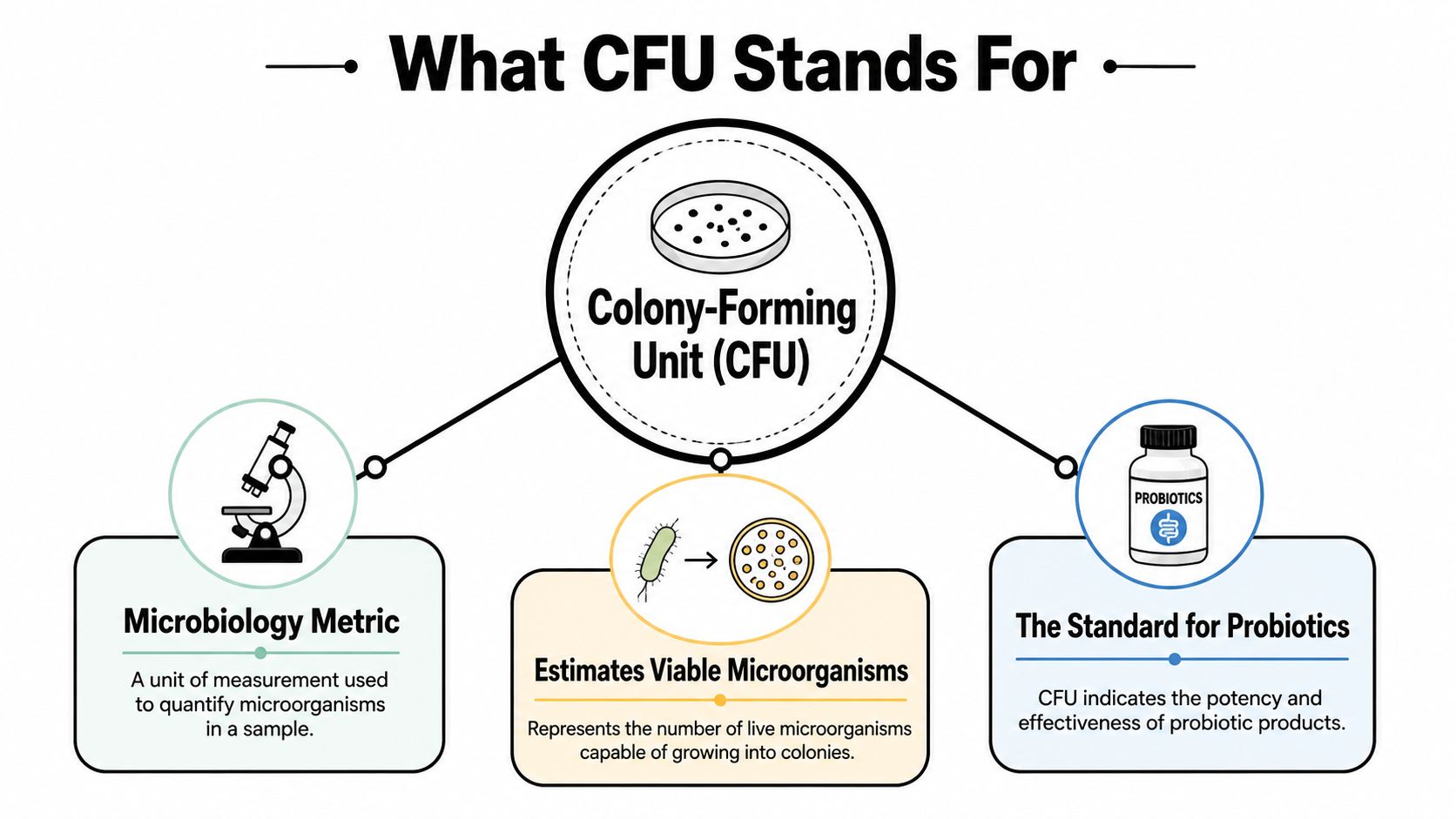 A diagram explaining that CFU stands for Colony-Forming Unit, detailing its use in microbiology and probiotic supplements.