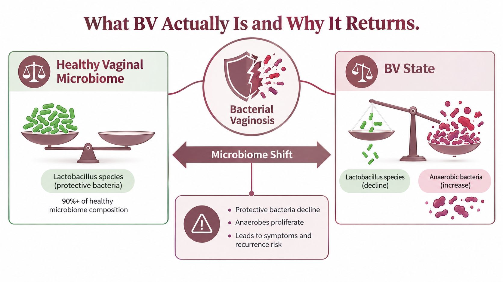 An infographic illustrating the shift from a healthy vaginal microbiome to bacterial vaginosis due to bacterial imbalance.