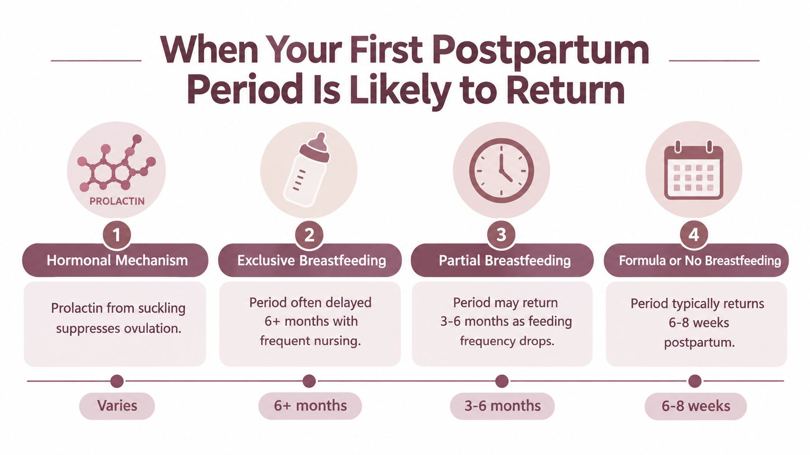 A visual infographic explaining how breastfeeding and hormonal mechanisms influence the return of the first postpartum period.
