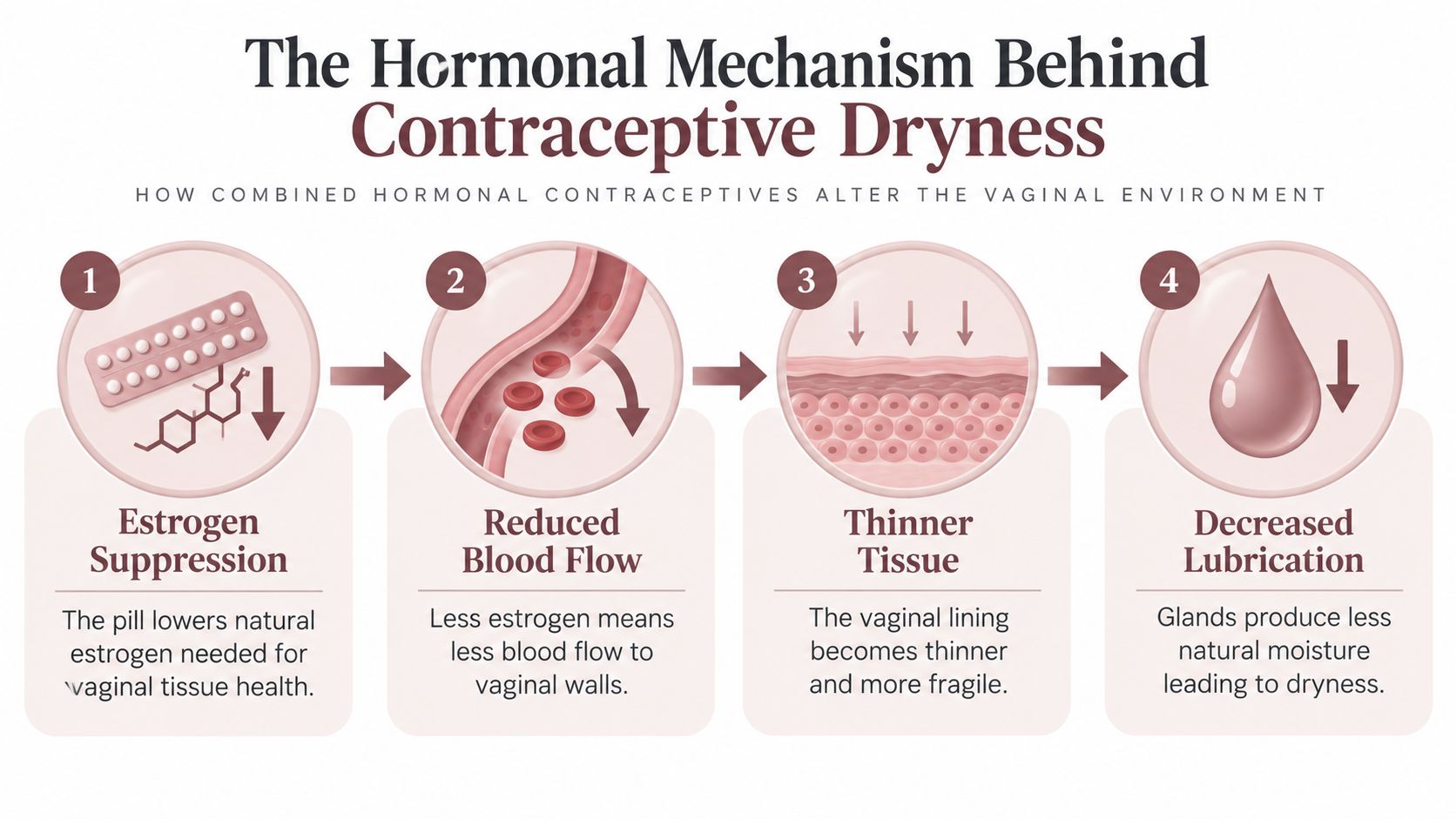 An infographic illustrating how hormonal contraceptives cause vaginal dryness through a four-step biological process.