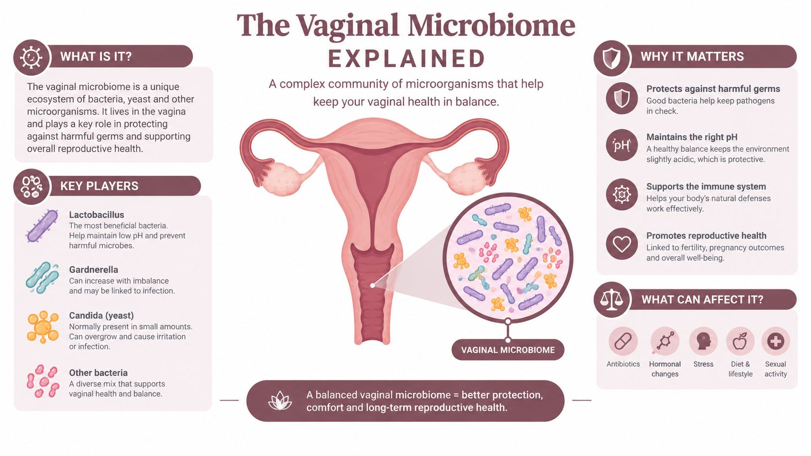 A detailed infographic explaining the composition and importance of the healthy vaginal microbiome and its functions.