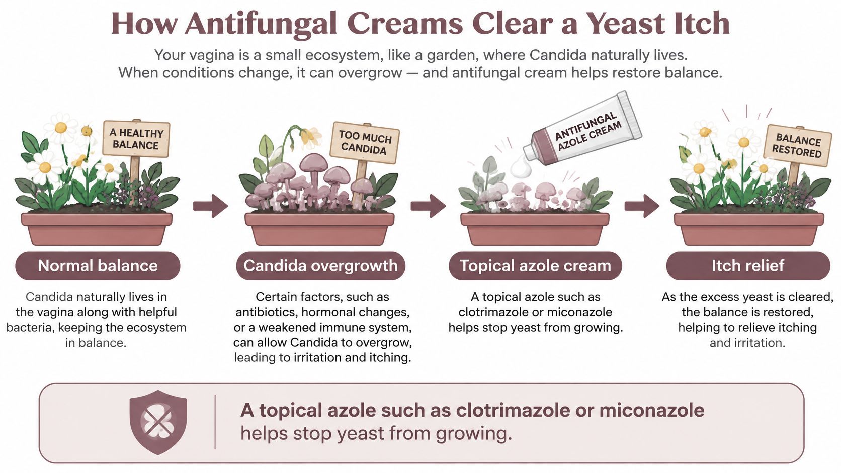 A diagram illustrating how antifungal azole creams help treat vaginal yeast infections by restoring a healthy balance.