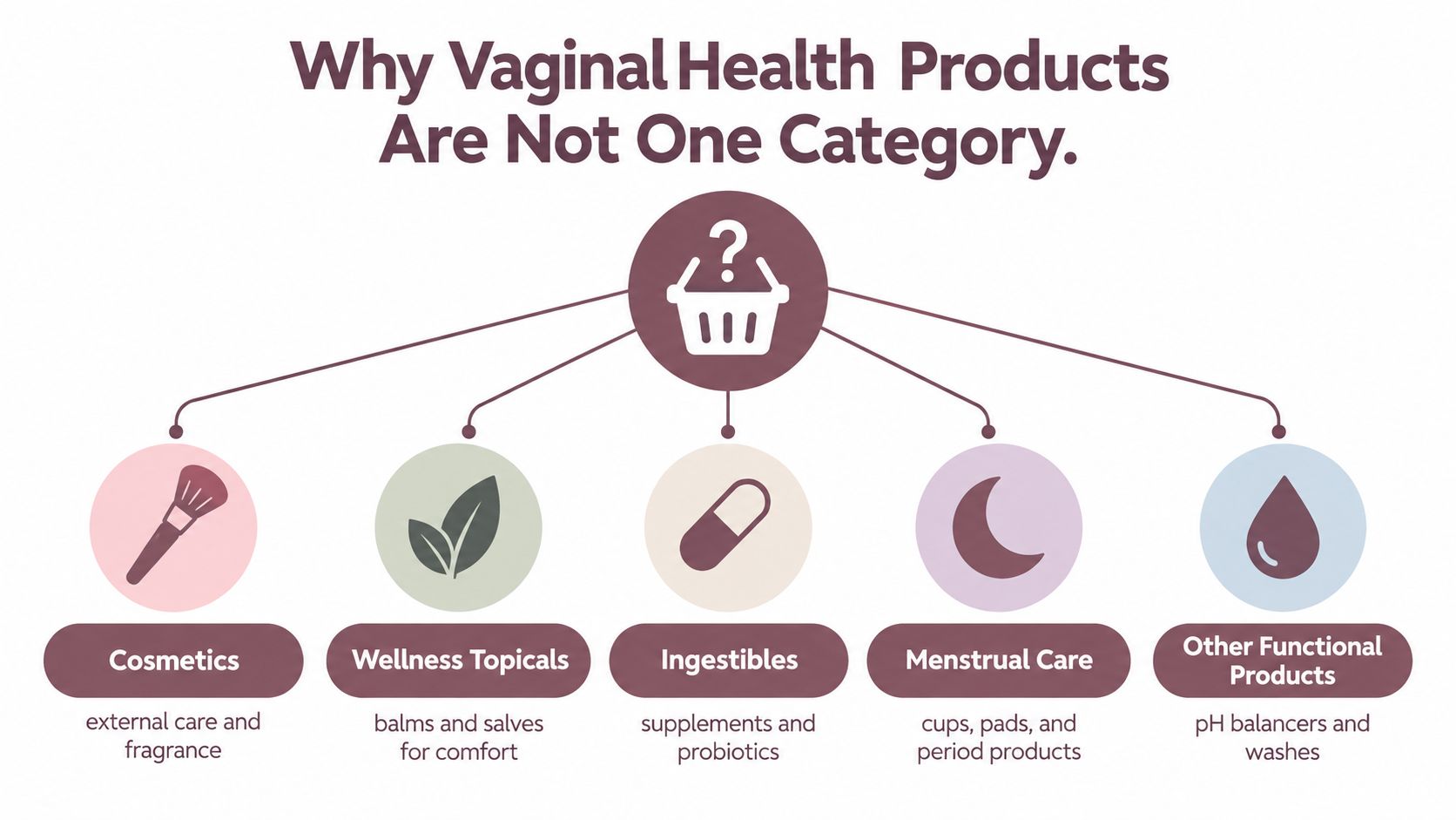 A diagram categorizing various vaginal health products into five distinct groups: cosmetics, wellness topicals, ingestibles, menstrual care, and functional products.
