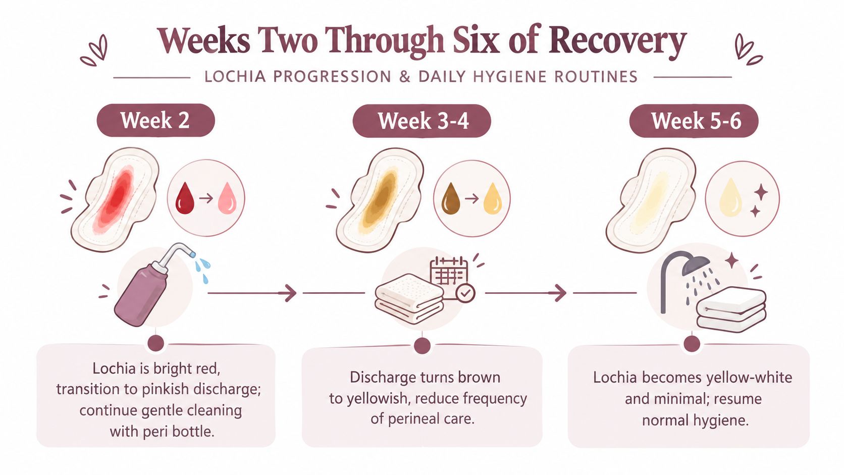 A postpartum recovery timeline infographic detailing lochia color progression and hygiene advice from weeks two to six.
