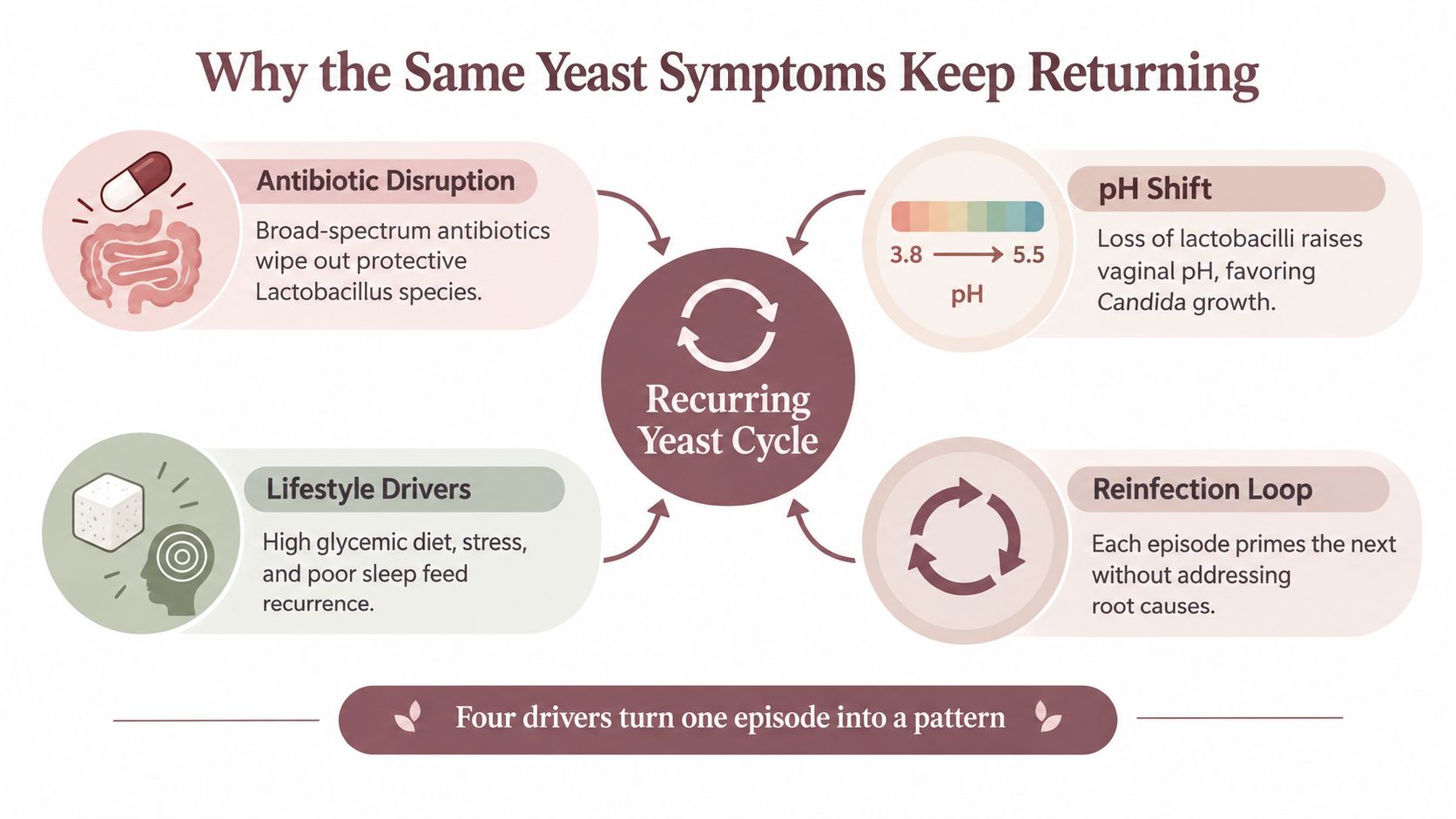 An infographic illustrating four key factors that cause recurring yeast infections, including antibiotics, pH shifts, and lifestyle.