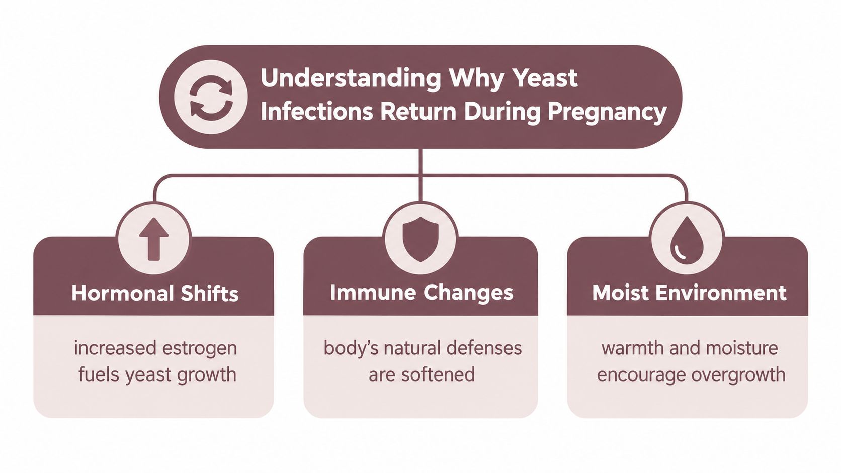 A diagram explaining three primary reasons for recurring yeast infections during pregnancy including hormonal shifts, immune changes, and moisture.