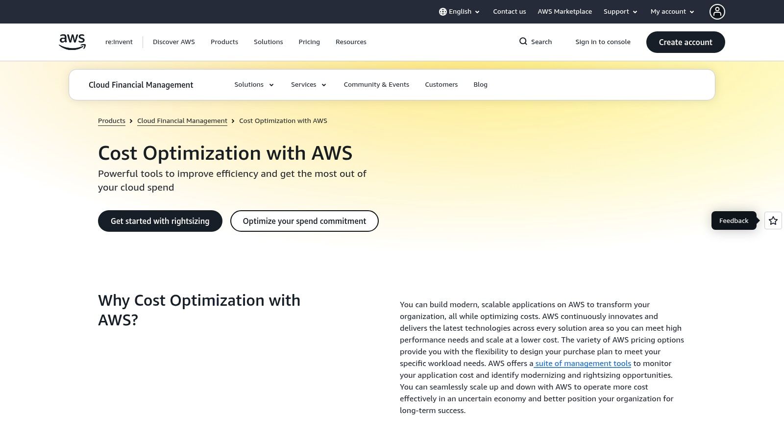 AWS Cost Optimization Hub interface