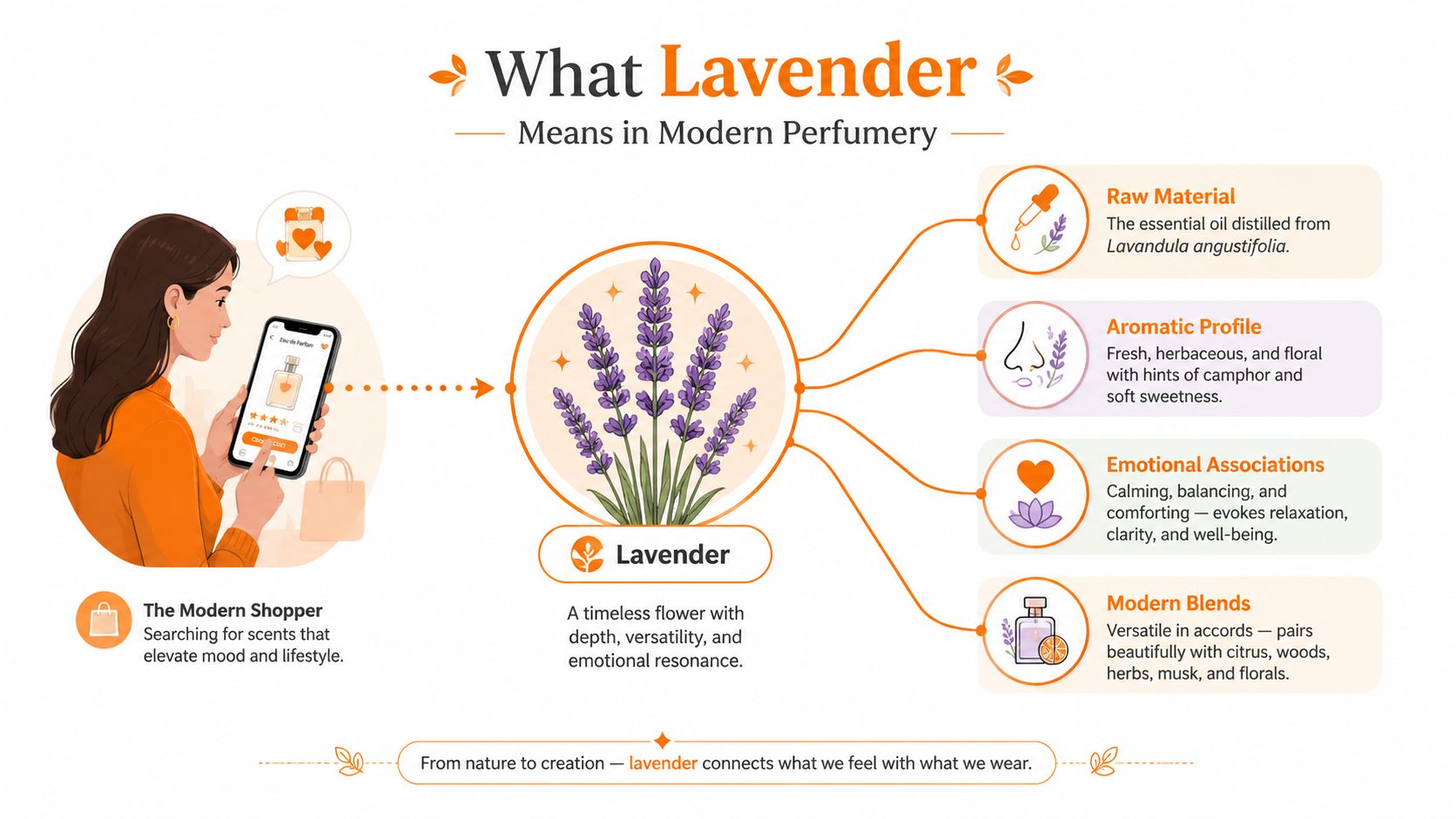 An infographic showing a woman browsing perfume on a phone and explaining lavender's role in modern perfumery.