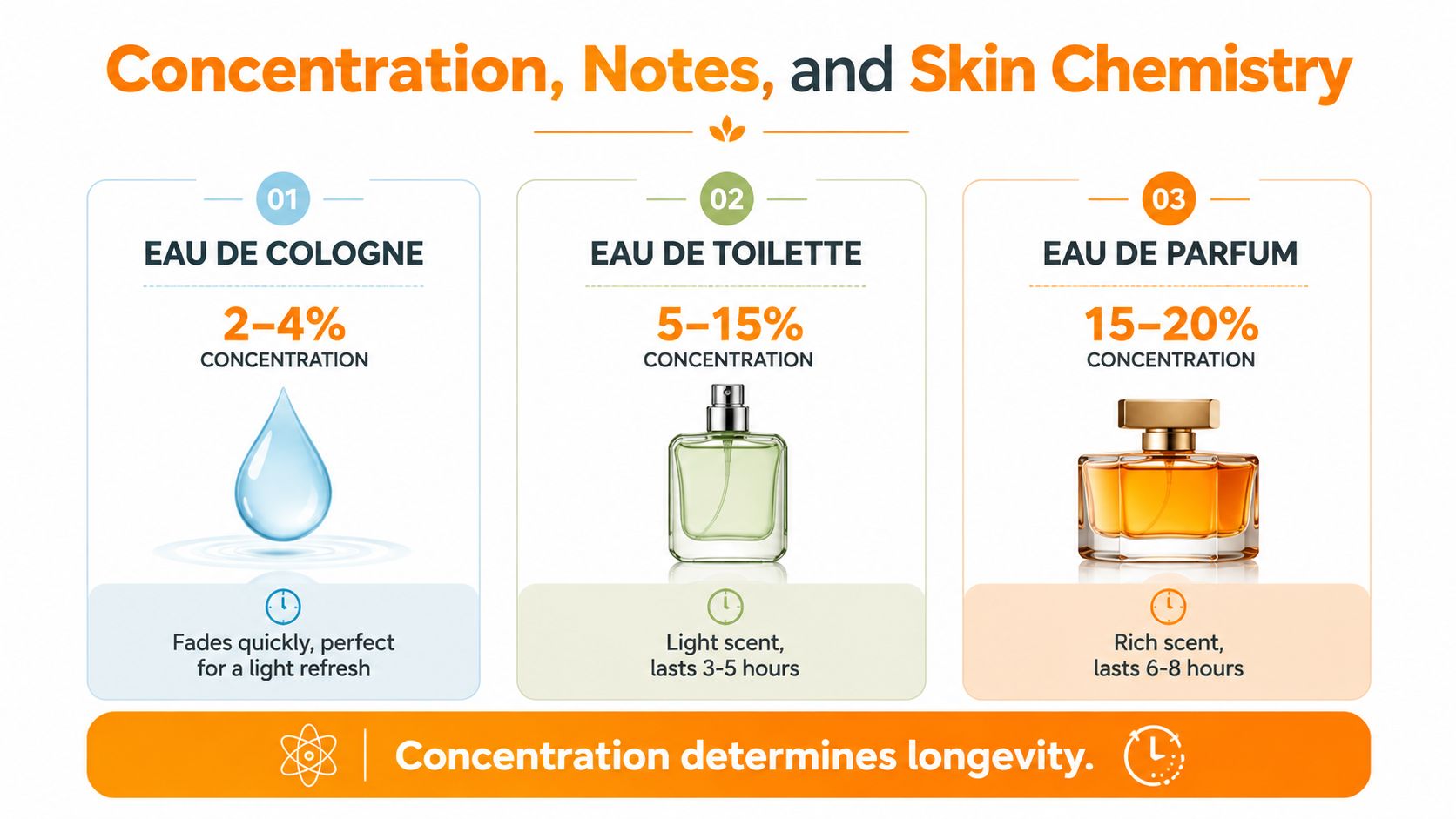 A chart comparing perfume concentration levels including Eau de Cologne, Eau de Toilette, and Eau de Parfum.