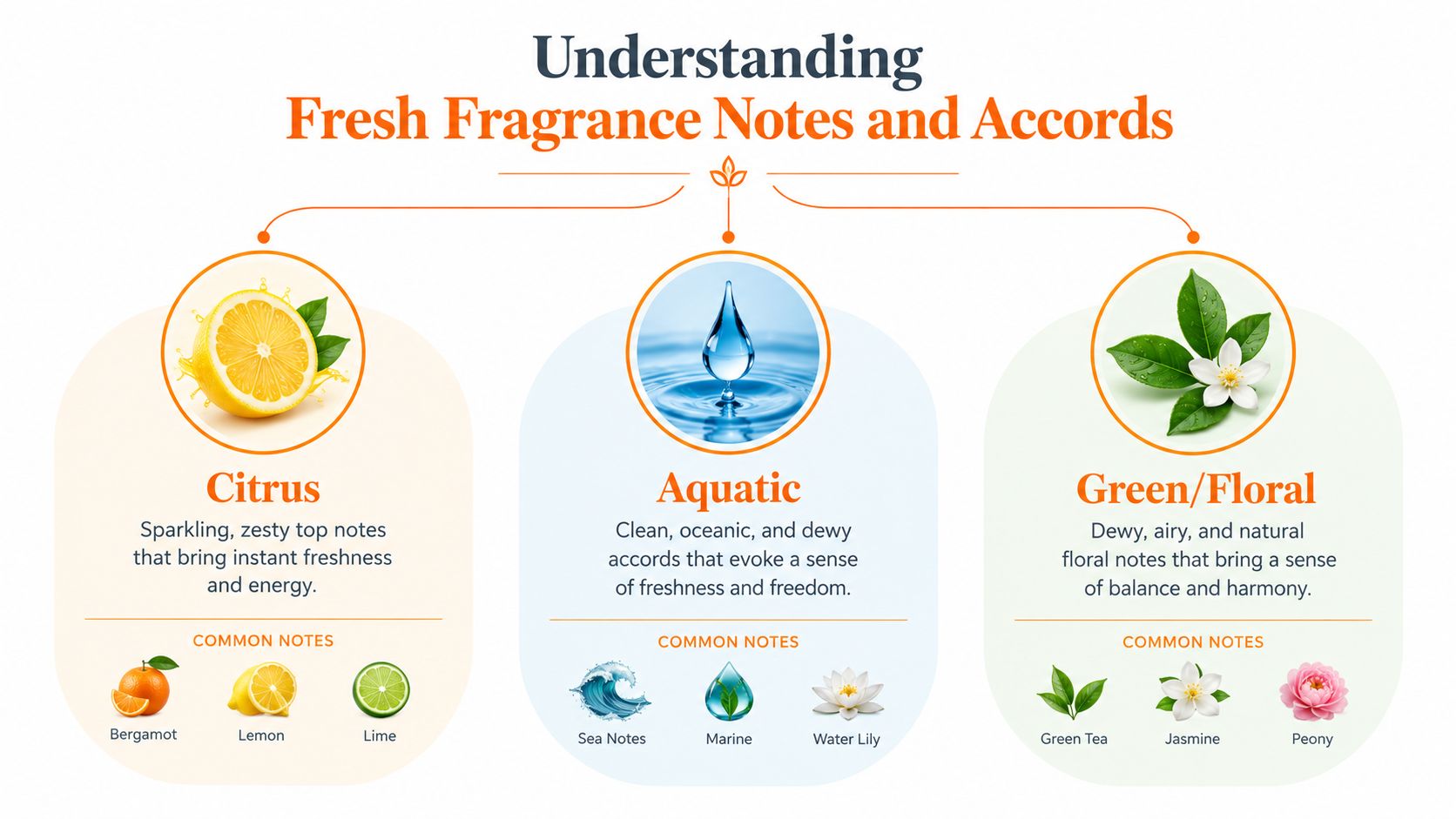A visual guide explaining fresh fragrance notes and accords, categorized into Citrus, Aquatic, and Green/Floral profiles.