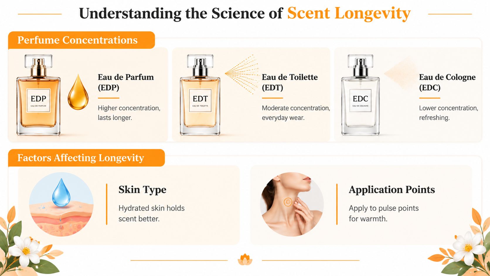 An infographic explaining scent longevity by detailing perfume concentrations and factors like skin hydration and application points.