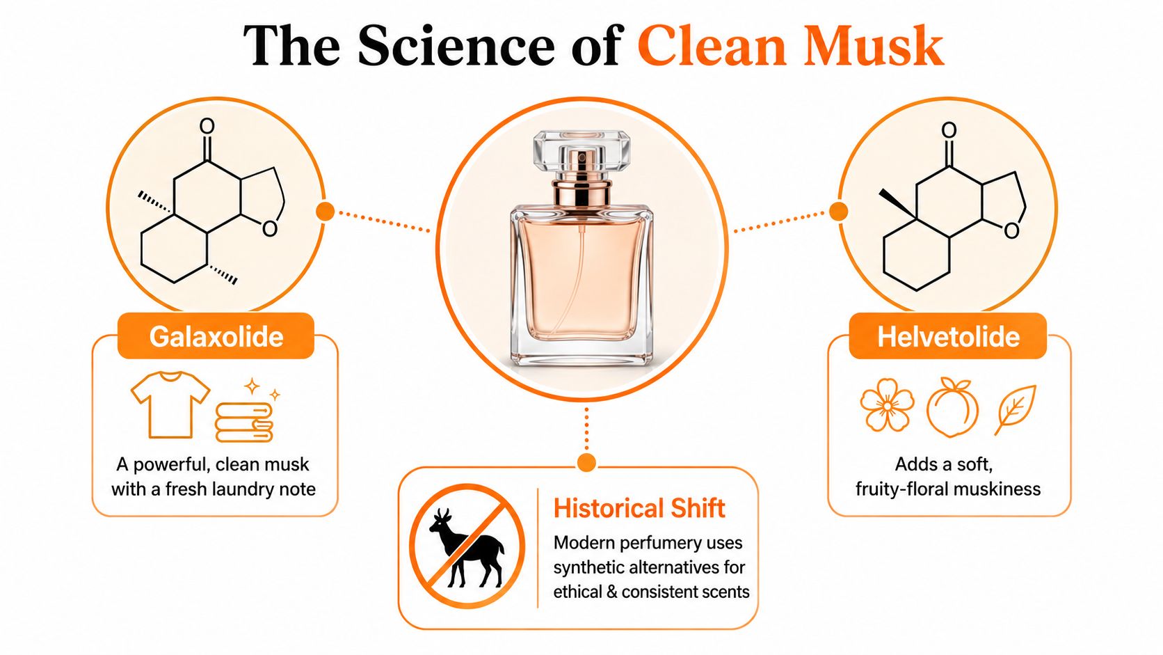 An educational infographic about clean musk, illustrating the synthetic chemical structures of Galaxolide and Helvetolide in modern perfumery.