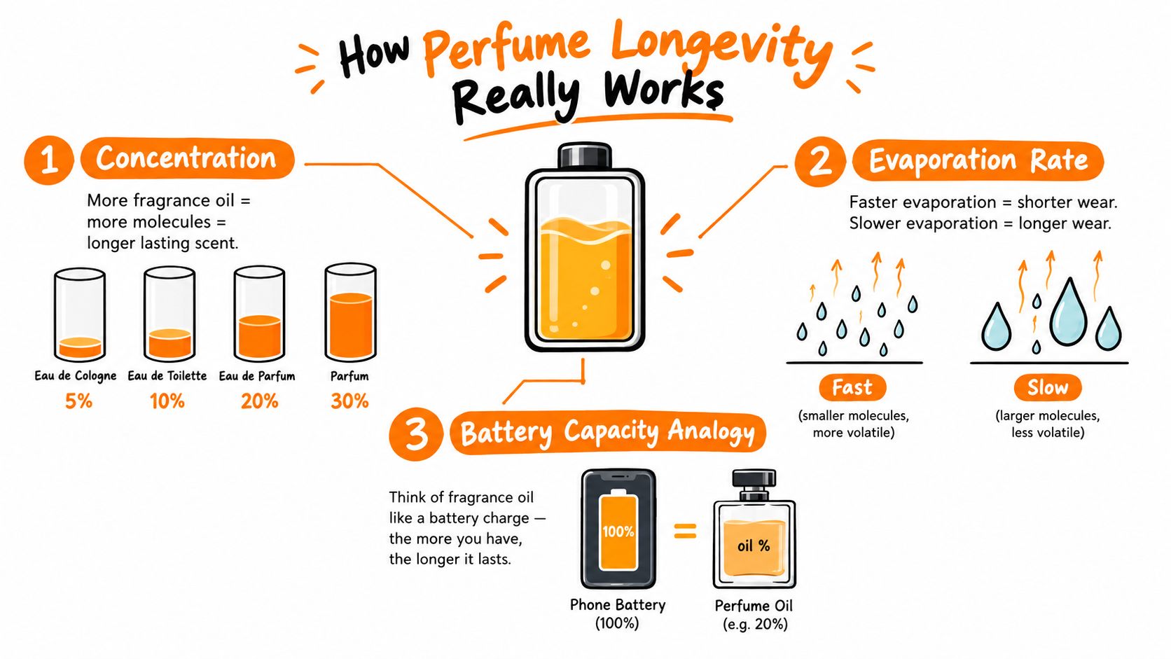 An infographic explaining how perfume longevity works, covering fragrance concentration, evaporation rate, and battery capacity analogy.