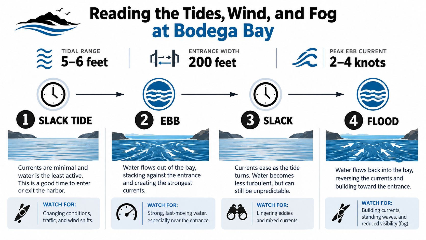 An educational infographic explaining the tidal stages, currents, and safety considerations for kayaking at Bodega Bay.