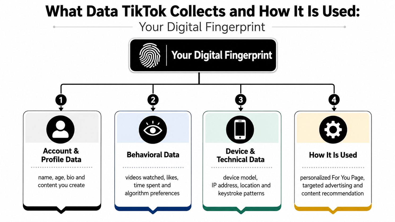 A diagram illustrating how TikTok collects and uses personal digital data, including account, behavioral, and device information.