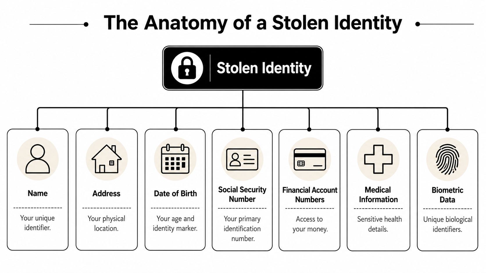 A diagram titled The Anatomy of a Stolen Identity, illustrating seven key personal data points compromised during identity theft.