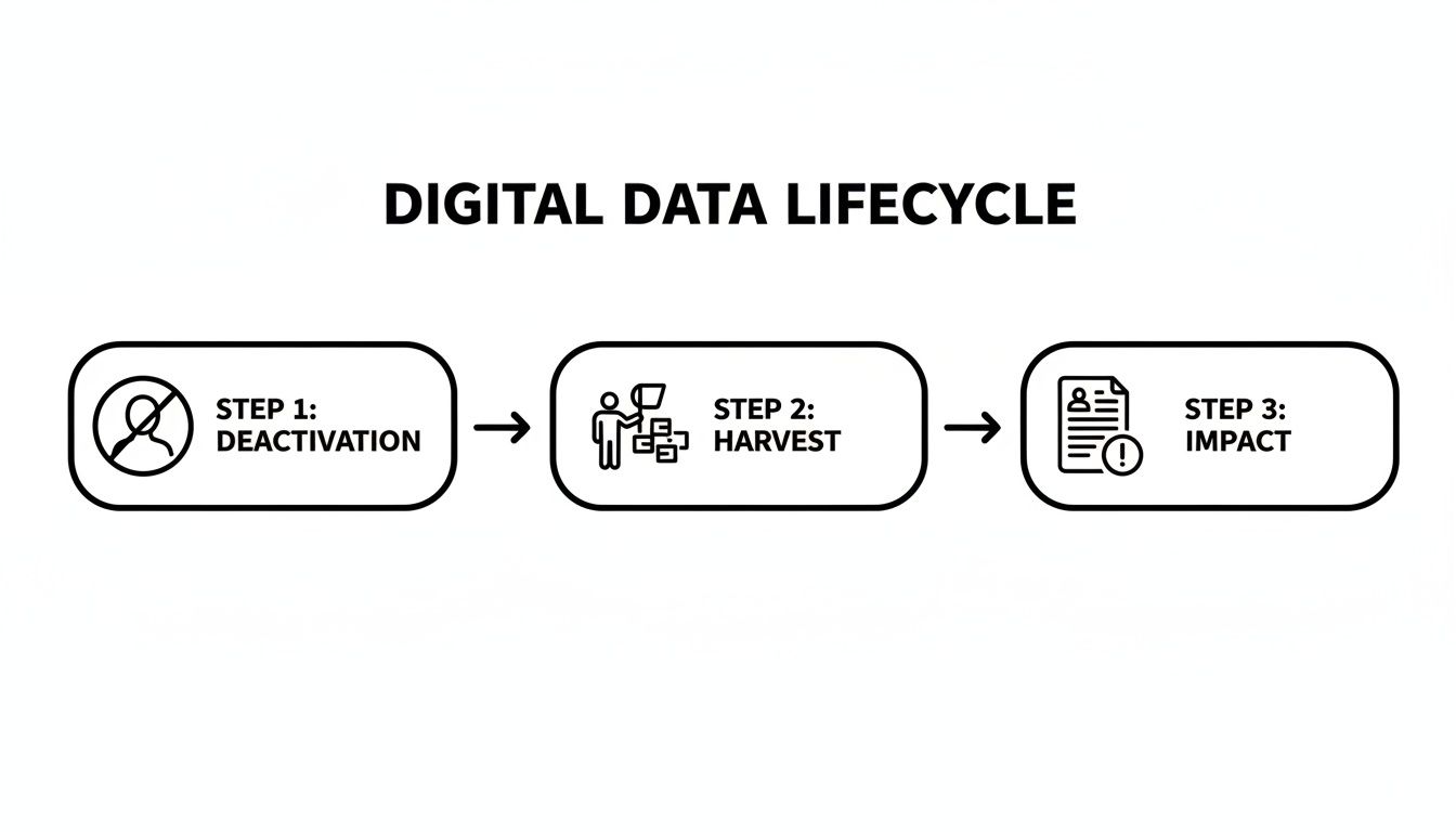 Diagram illustrating the digital data lifecycle in three steps: deactivation, harvest, and impact, with icons.