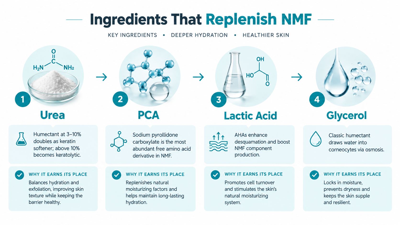 An infographic detailing key skincare ingredients like Urea, PCA, Lactic Acid, and Glycerol that replenish natural moisturizing factors.