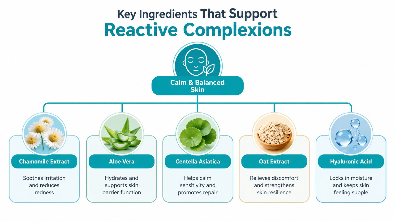 A diagram illustrating key skincare ingredients that support calm, balanced, and healthy reactive skin.