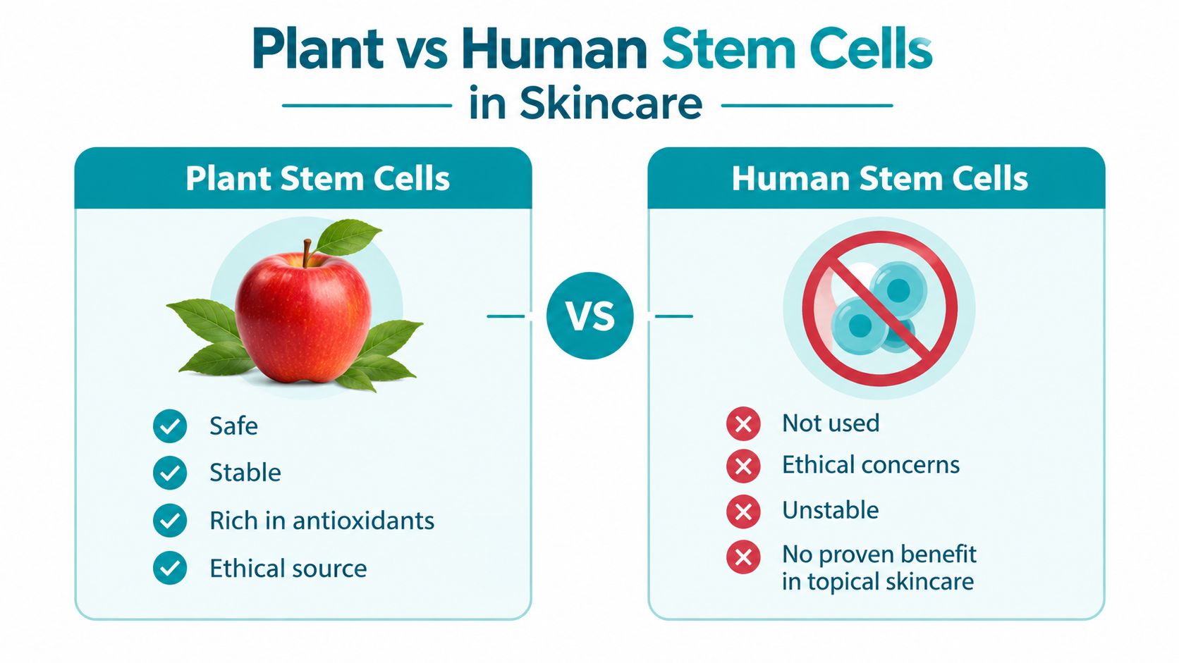 A comparison chart showing benefits of plant stem cells versus the disadvantages of human stem cells in skincare.