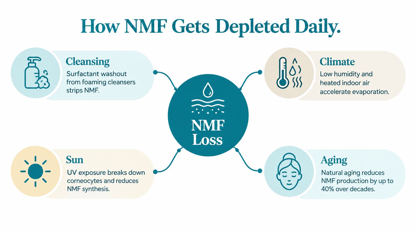 An infographic detailing four primary environmental and biological factors that contribute to the daily depletion of natural moisturizing factors.