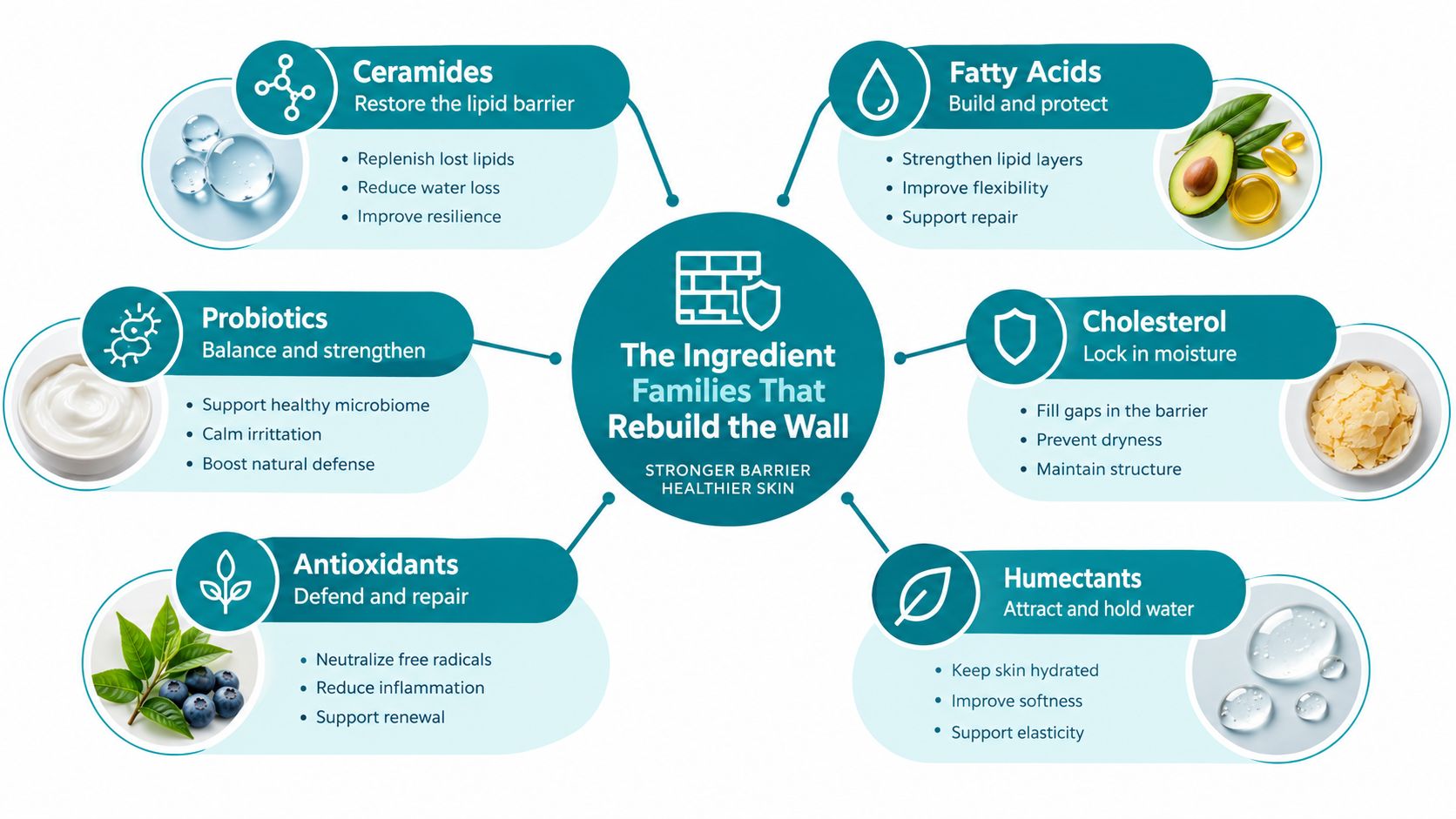 An infographic showing six skin-care ingredient families that help repair and strengthen the skin's protective barrier.