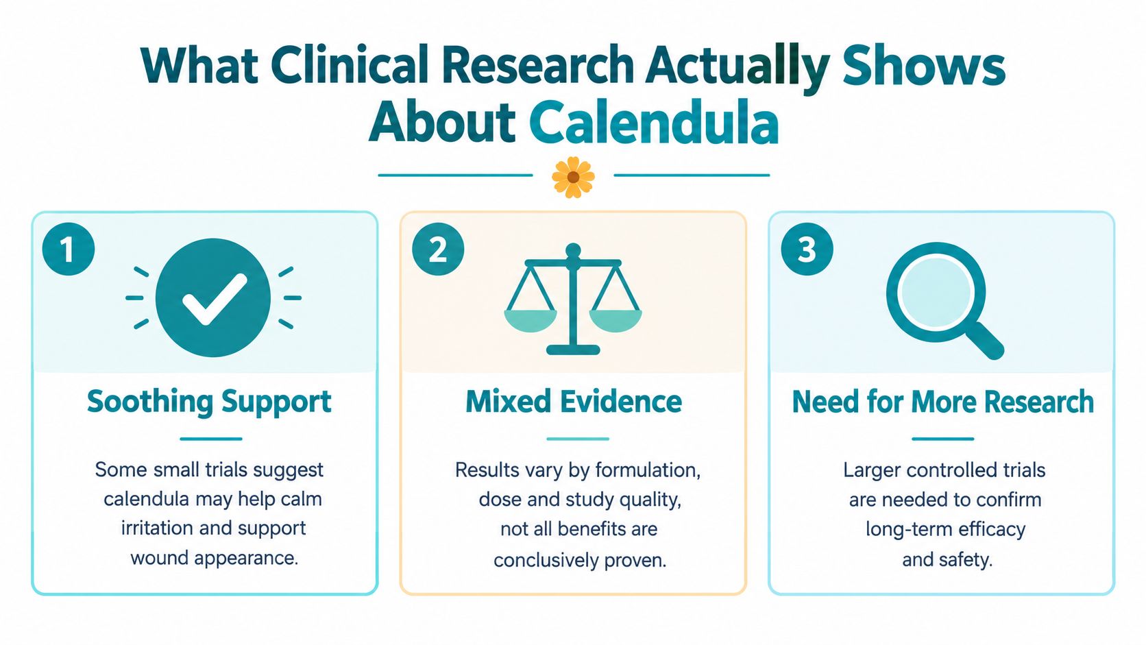 An infographic titled What Clinical Research Actually Shows About Calendula, highlighting its soothing properties and research needs.