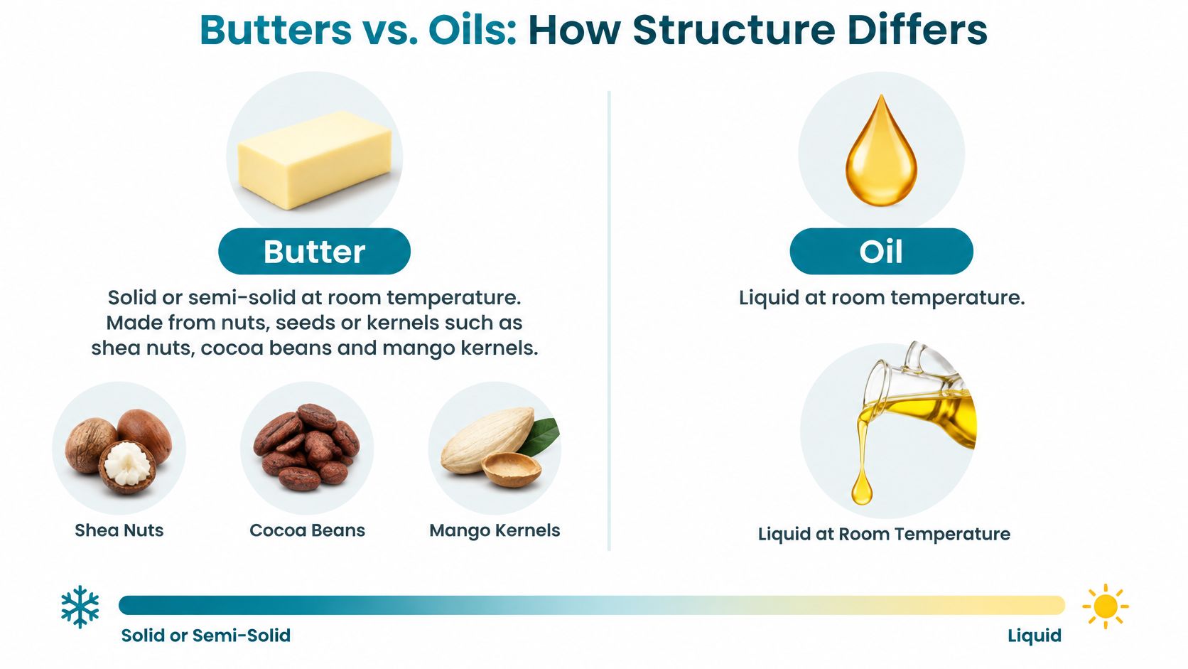 An infographic comparing the structural differences between plant-based butters and oils at room temperature.
