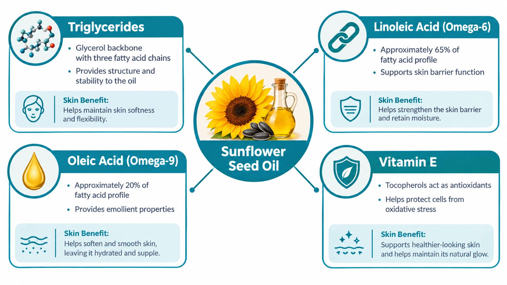 An infographic detailing the benefits of sunflower seed oil for skin, highlighting key components like triglycerides, linoleic acid, oleic acid, and vitamin E.
