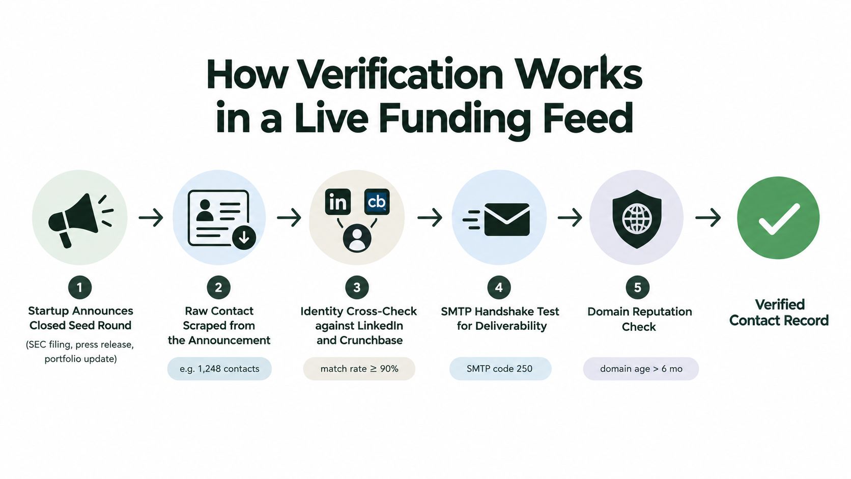 A flowchart showing the five steps of data verification in a live funding feed for startups.
