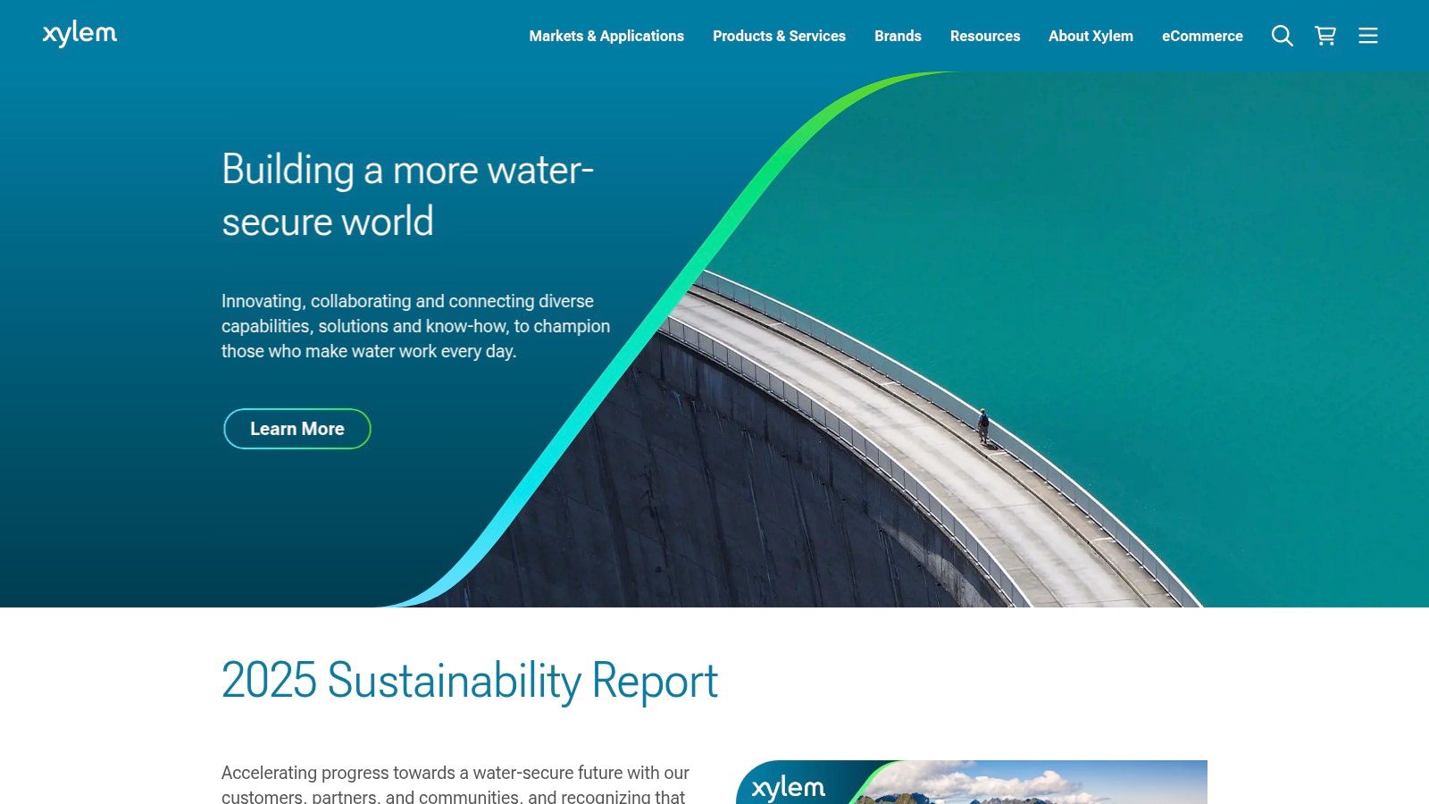 Xylem