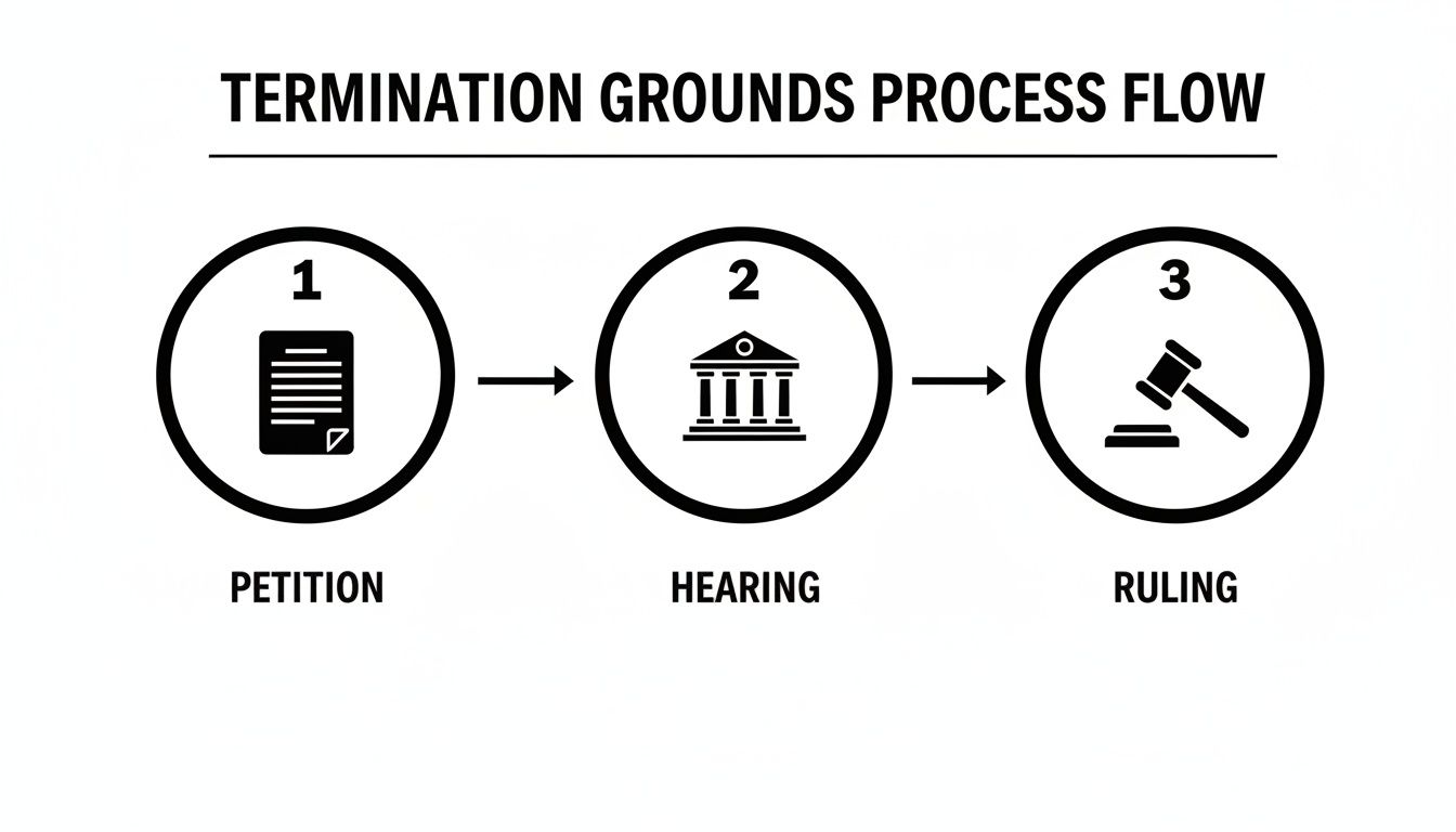 Flowchart illustrating the Termination Grounds Process Flow with steps: Petition, Hearing, and Ruling.