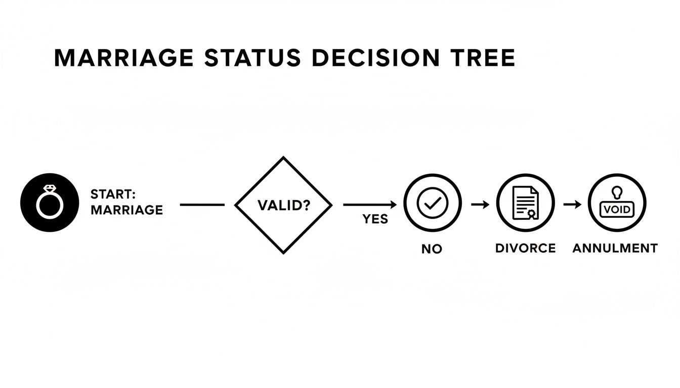 Flowchart depicting marriage status decisions, including valid, divorce, and annulment paths.