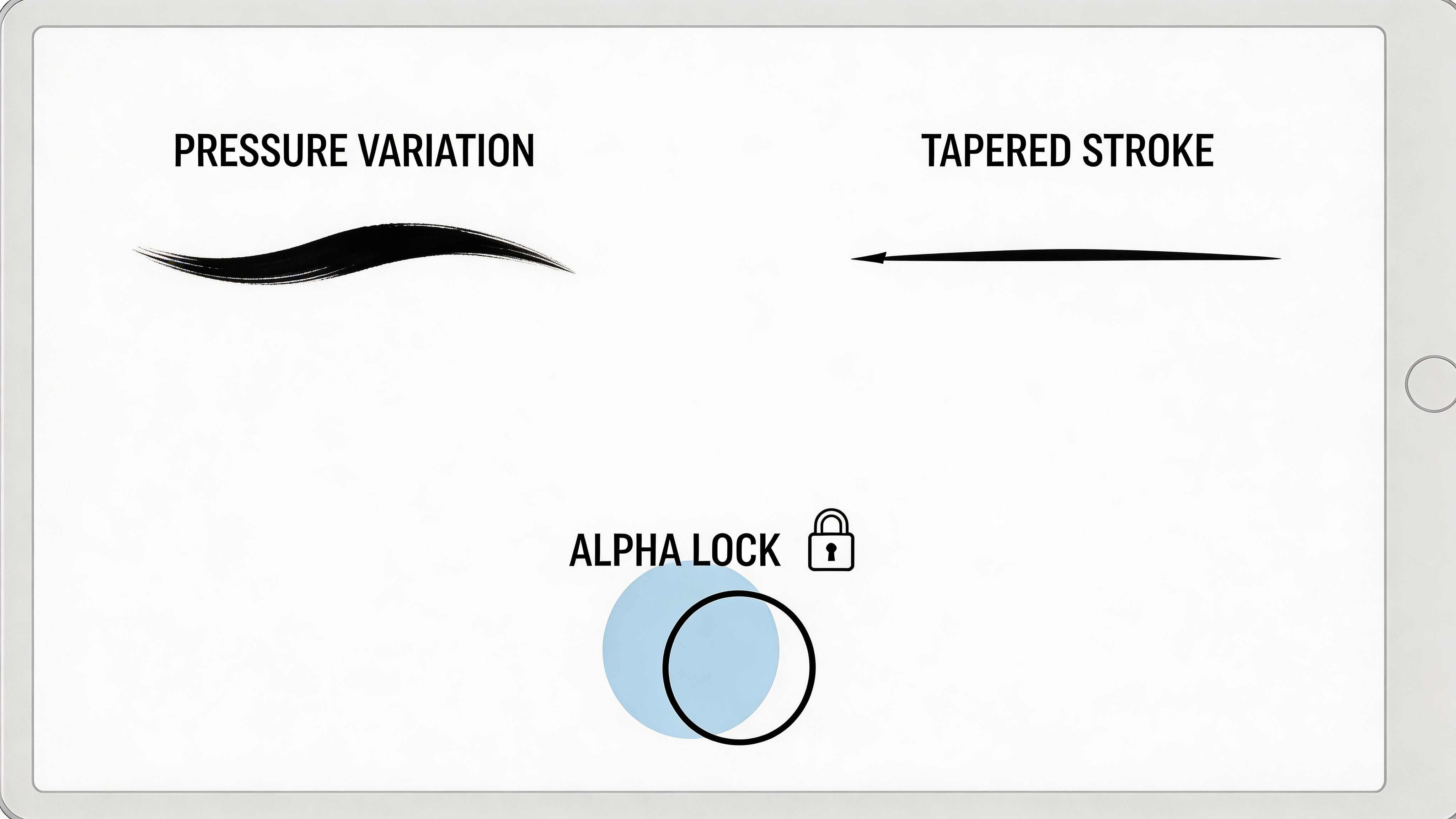 A digital screen displaying artistic brush strokes including pressure variation and tapered stroke, plus an alpha lock icon.