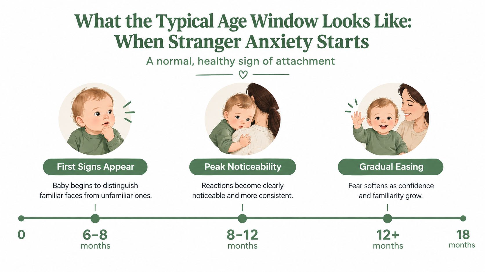 A timeline graphic showing the typical age progression of infant stranger anxiety from six to eighteen months.