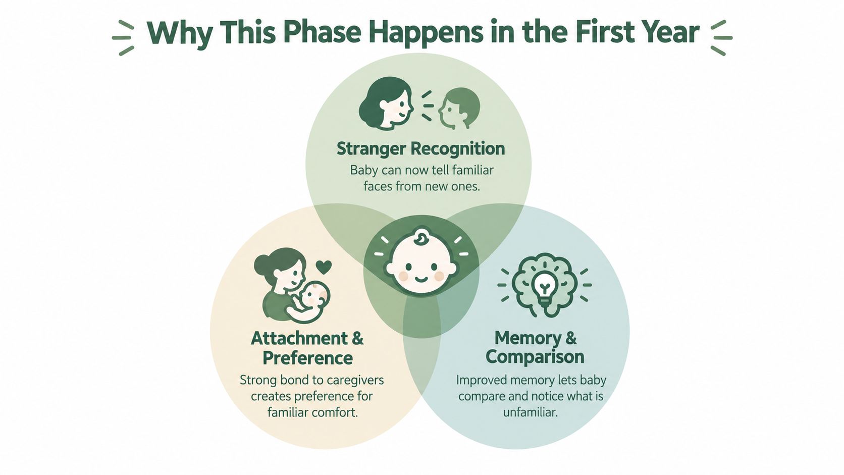 A Venn diagram explaining why stranger anxiety happens in a baby's first year through development.