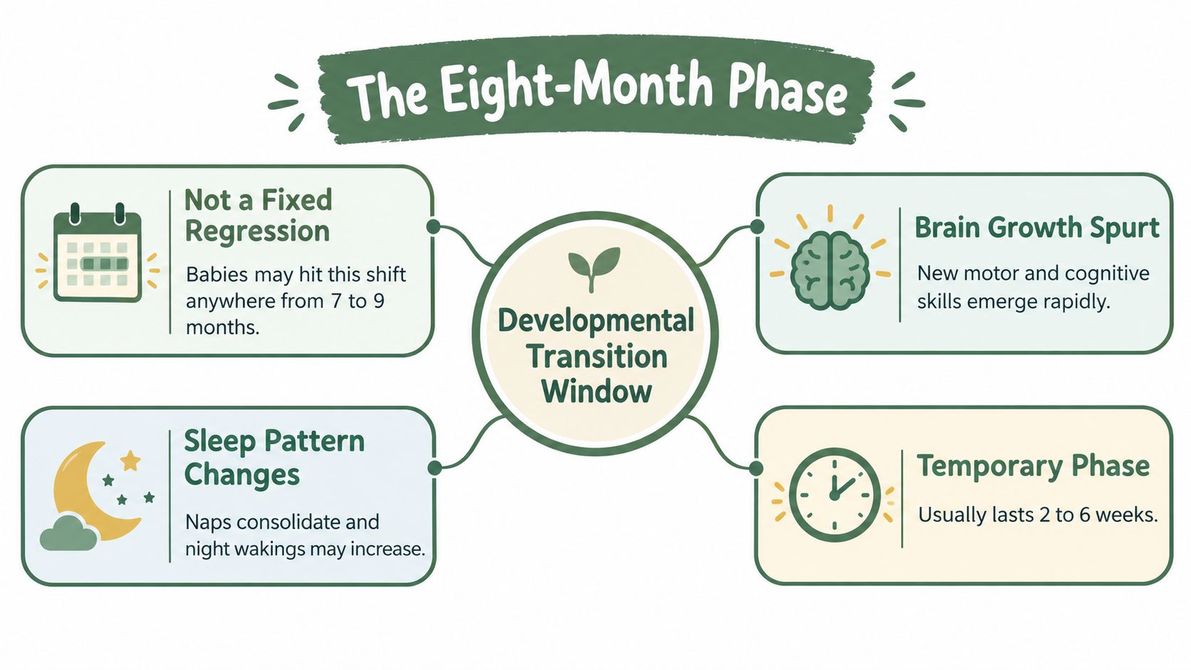 An infographic explaining the 8-month developmental transition window for infants including sleep and growth information.
