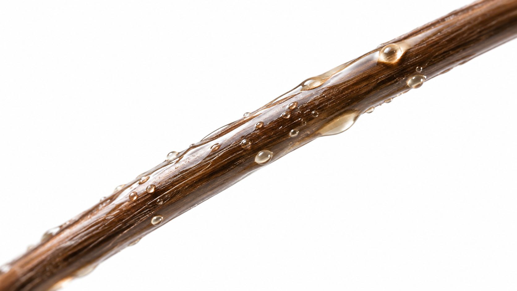 A close-up view of a wet strand of brown hair isolated against a plain white background.