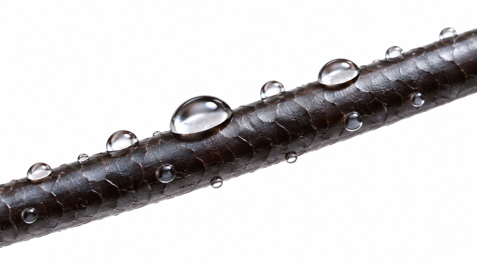 Un'immagine ravvicinata e microscopica di una singola ciocca di capelli umani scuri, con goccioline d'acqua ben visibili.