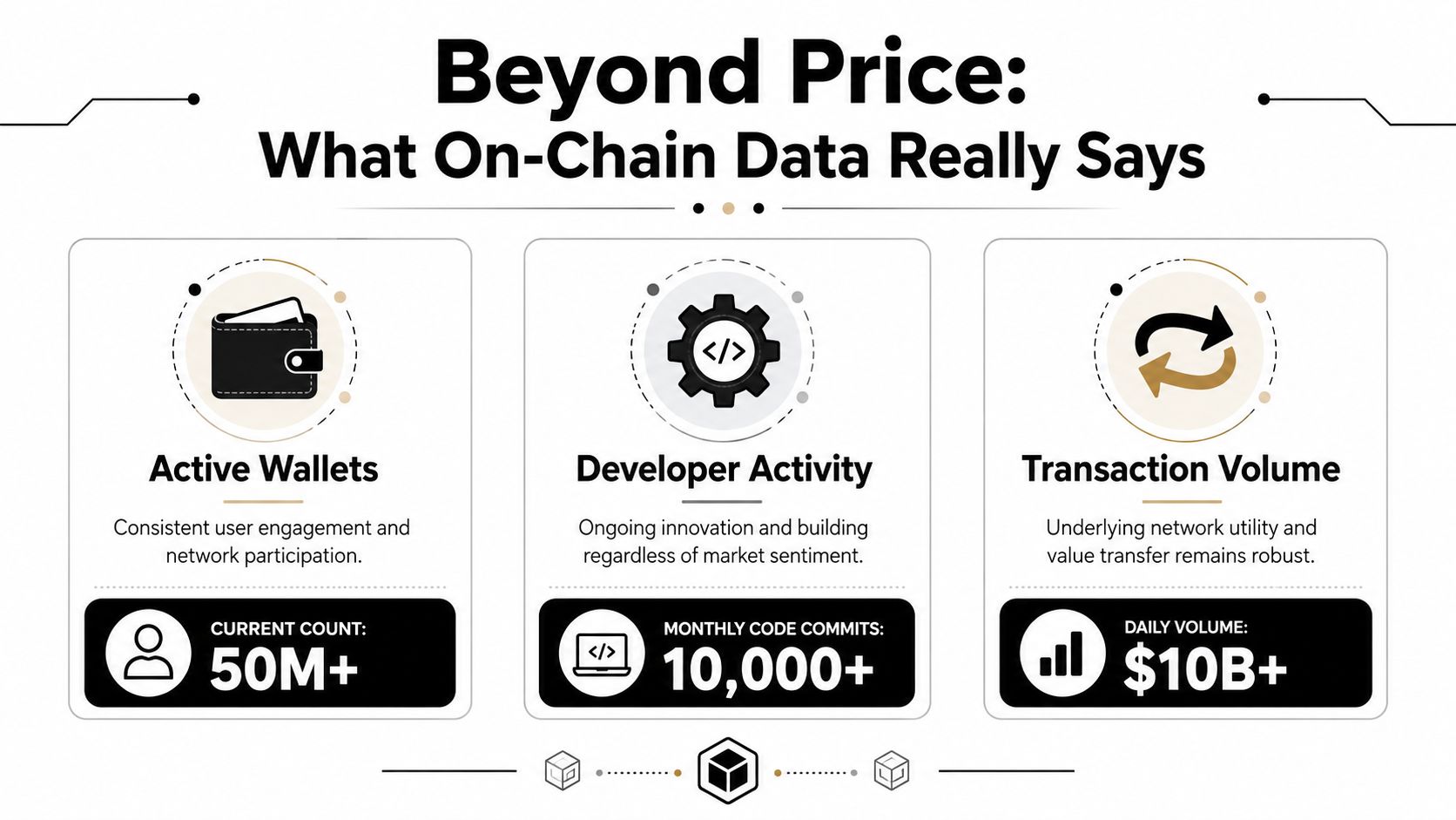 An infographic titled Beyond Price comparing blockchain metrics including active wallets, developer activity, and transaction volume.