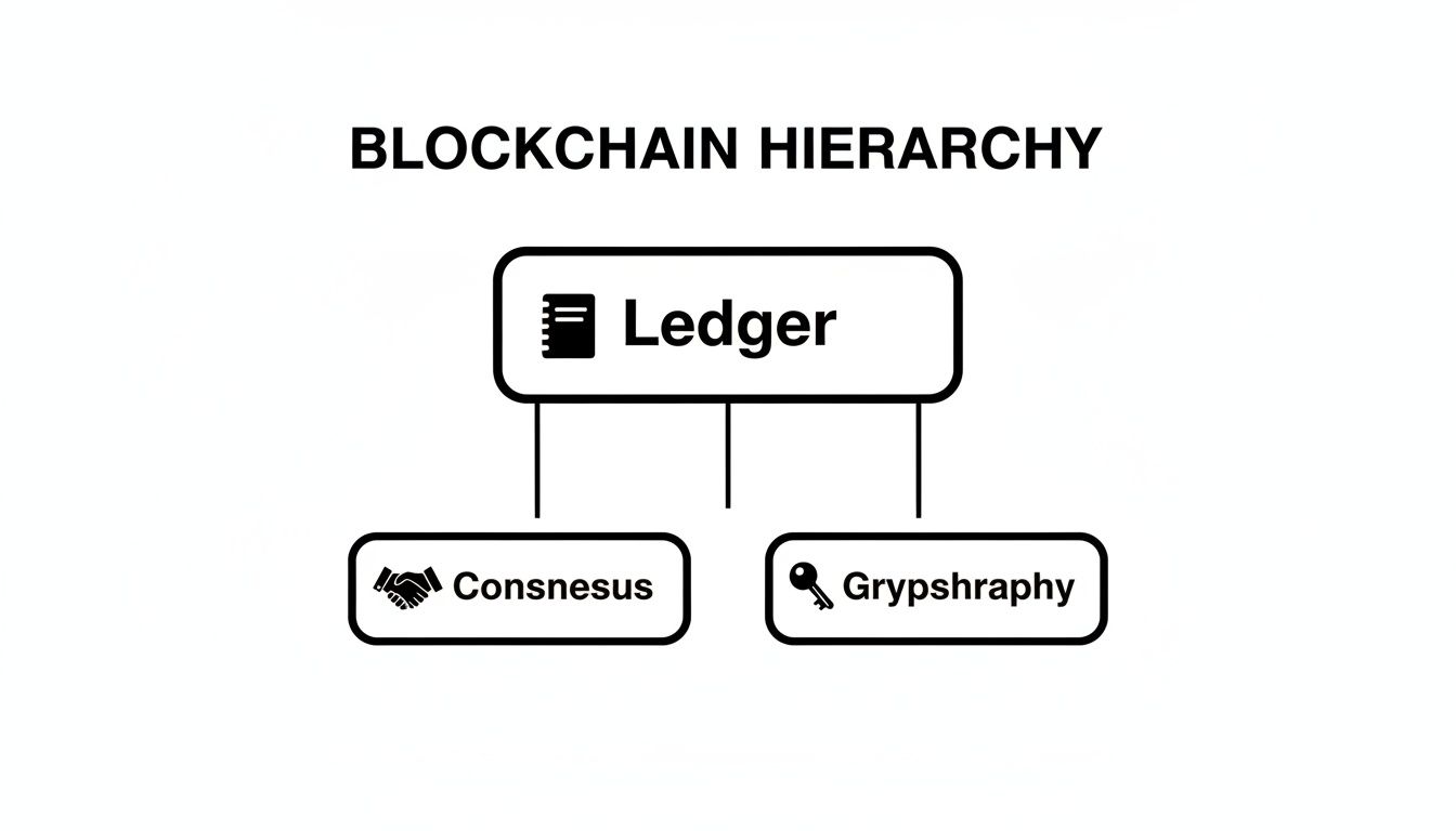 Diagram illustrating blockchain hierarchy with Ledger at the top, leading to Consensus and Cryptography.