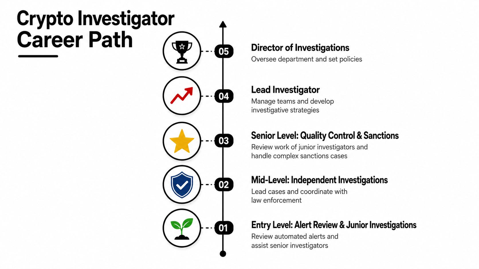 A visual career path chart for crypto investigators, detailing five levels from entry-level to director.
